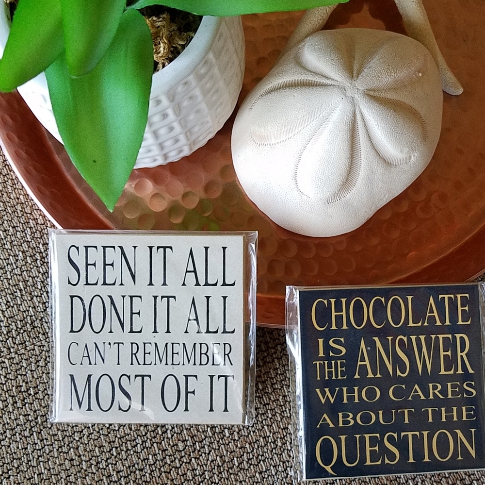 NWT Set of 2 magnets